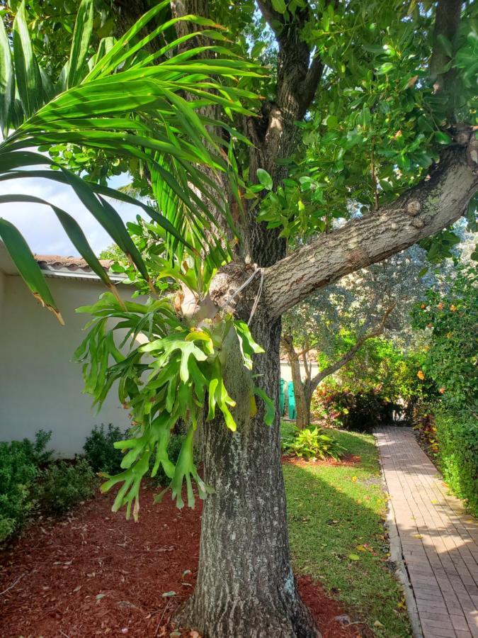 Ocean Side Resort - Updated Villa هليسبورو بيتش المظهر الخارجي الصورة